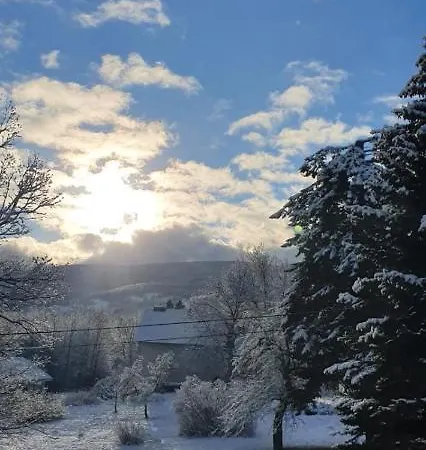 Apartment In Barbara