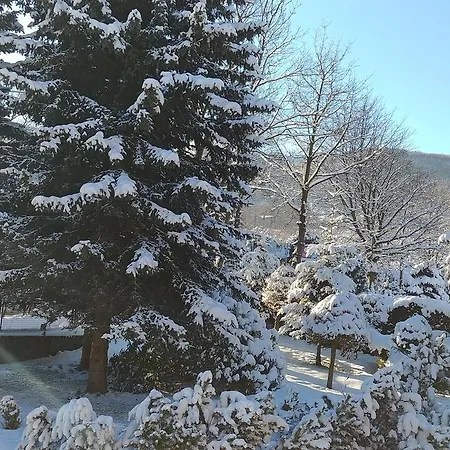 In Barbara * Świeradów-Zdrój