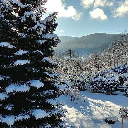 In Barbara Apartment Świeradów-Zdrój