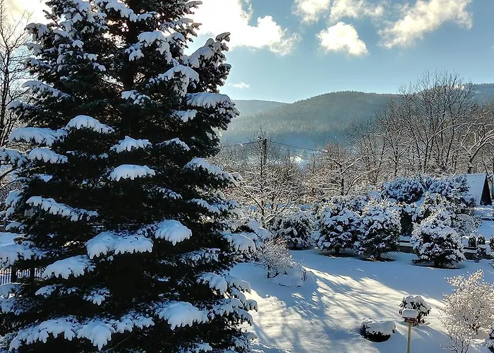 In Barbara Apartman Świeradów-Zdrój